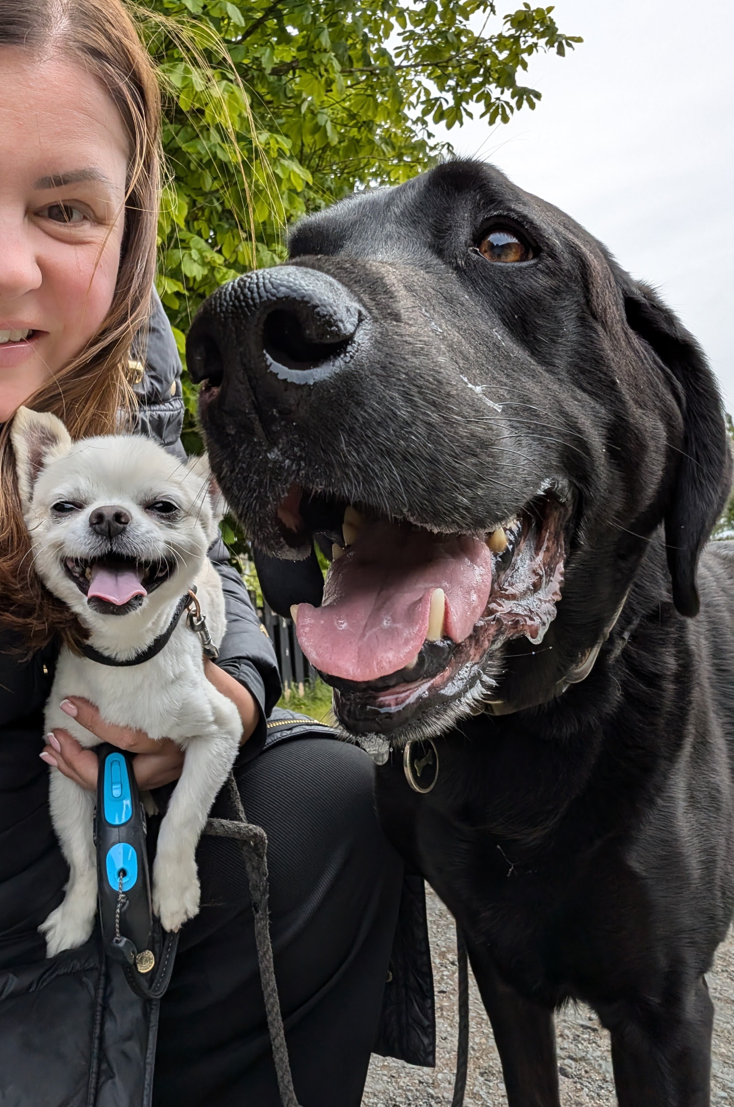 Lindsey with dogs